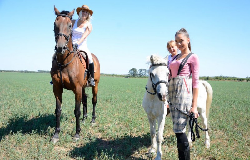 Albena 2026 sport horse 3 Custom