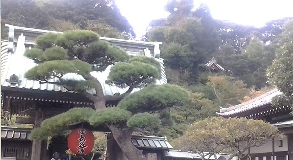 Kamakura ob6t