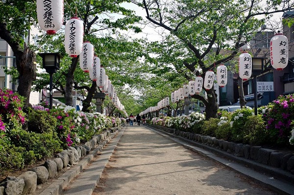 Kamakura vi6ni