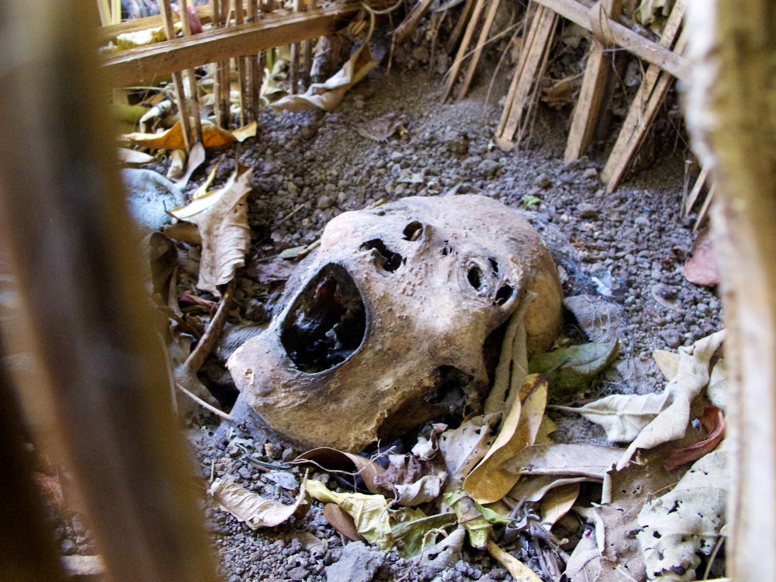 terunyan skull