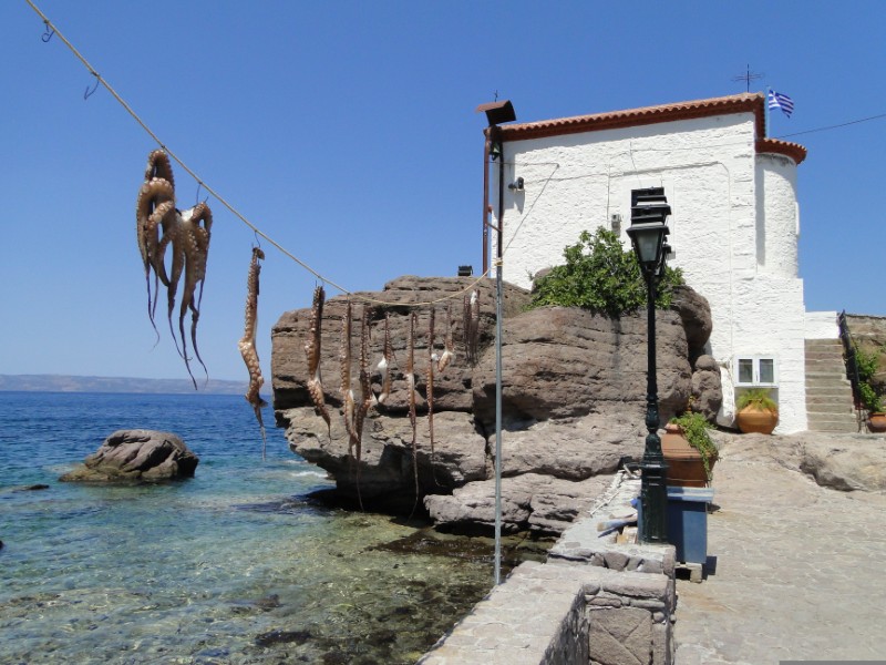 ABUJET Lesbos 9