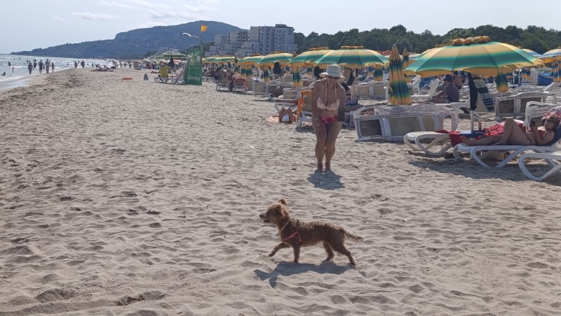 Albena 2026 esenno more 3