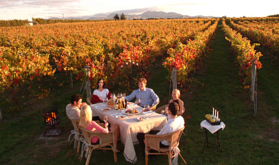 wine tours on the rise in new zealand