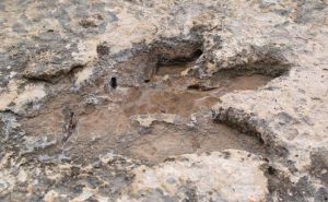 dinosaur-footprint-istock 650x400 61449126010