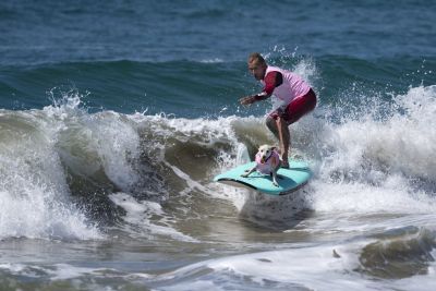 Surf-dog-huntington-beach-2017-1500x1001
