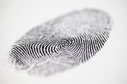 biometria 3